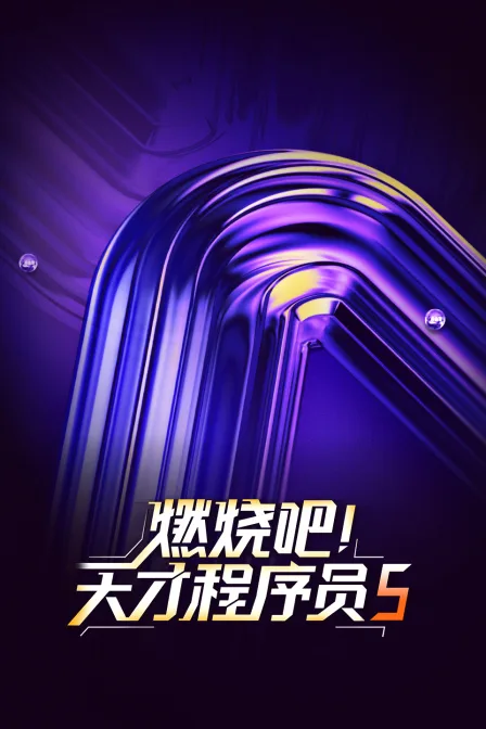 燃烧吧!天才程序员第五季