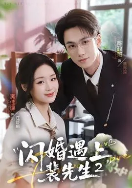 闪婚遇上裴先生2第二季