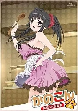 我的狐仙女友：真夏的大谢肉祭上